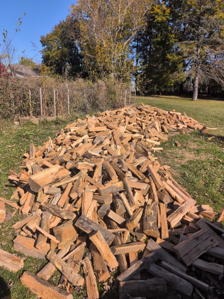 Large pile of cut firewood