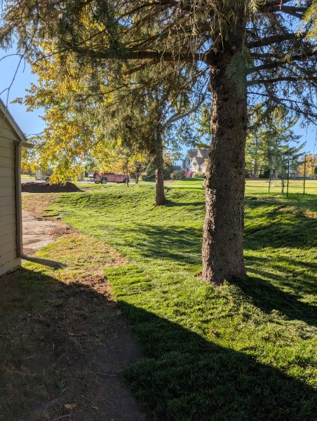 Mowed lawn under trees in fall
