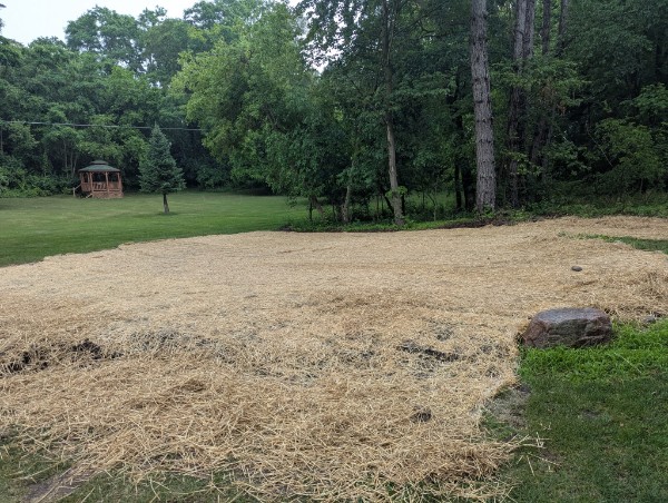 Seeded lawn with straw cover