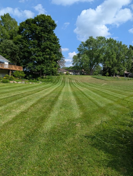 Freshly mowed lawn with stripes