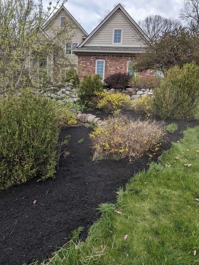 Freshly mulched garden bed